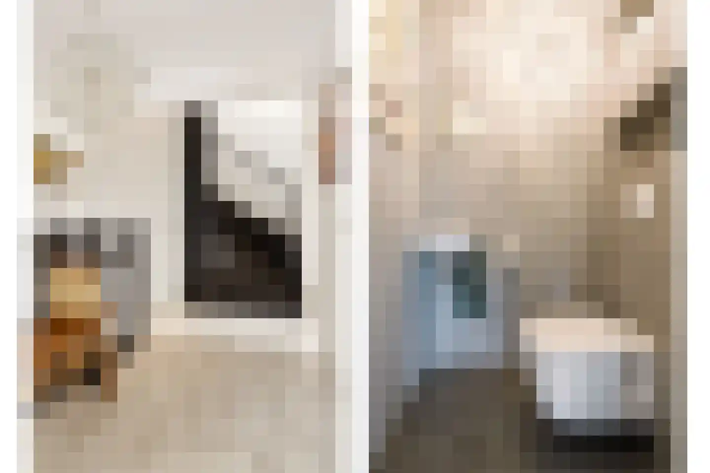 Kantmos 47 Houten thumbnail 31