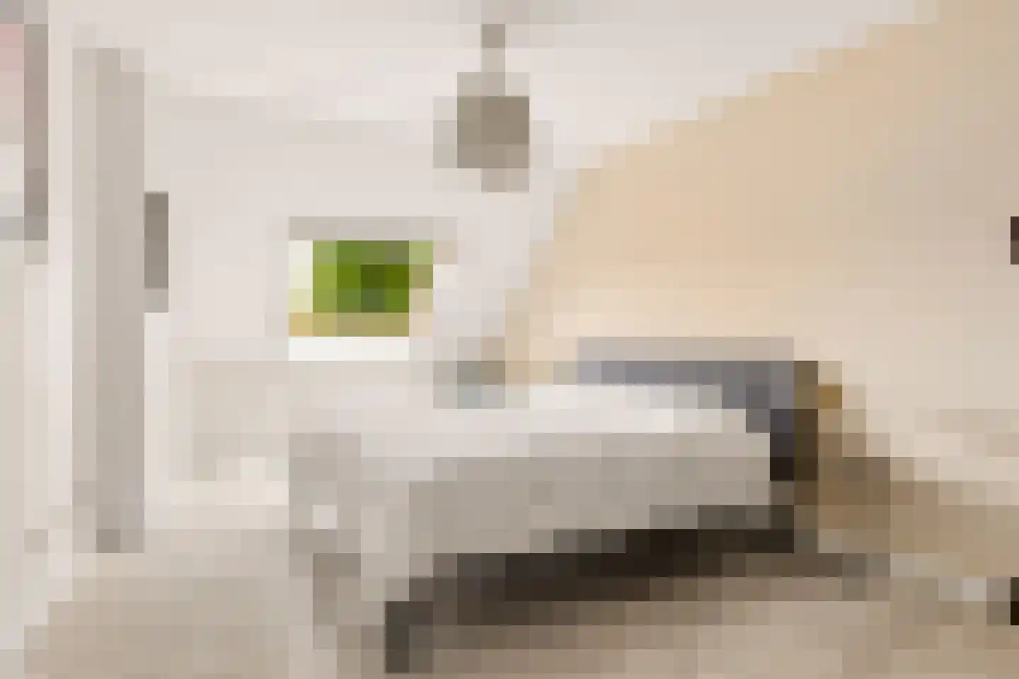 Kantmos 47 Houten thumbnail 32