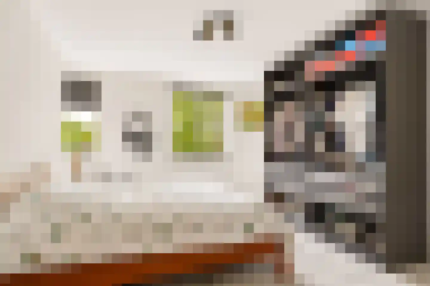 Kantmos 47 Houten thumbnail 34