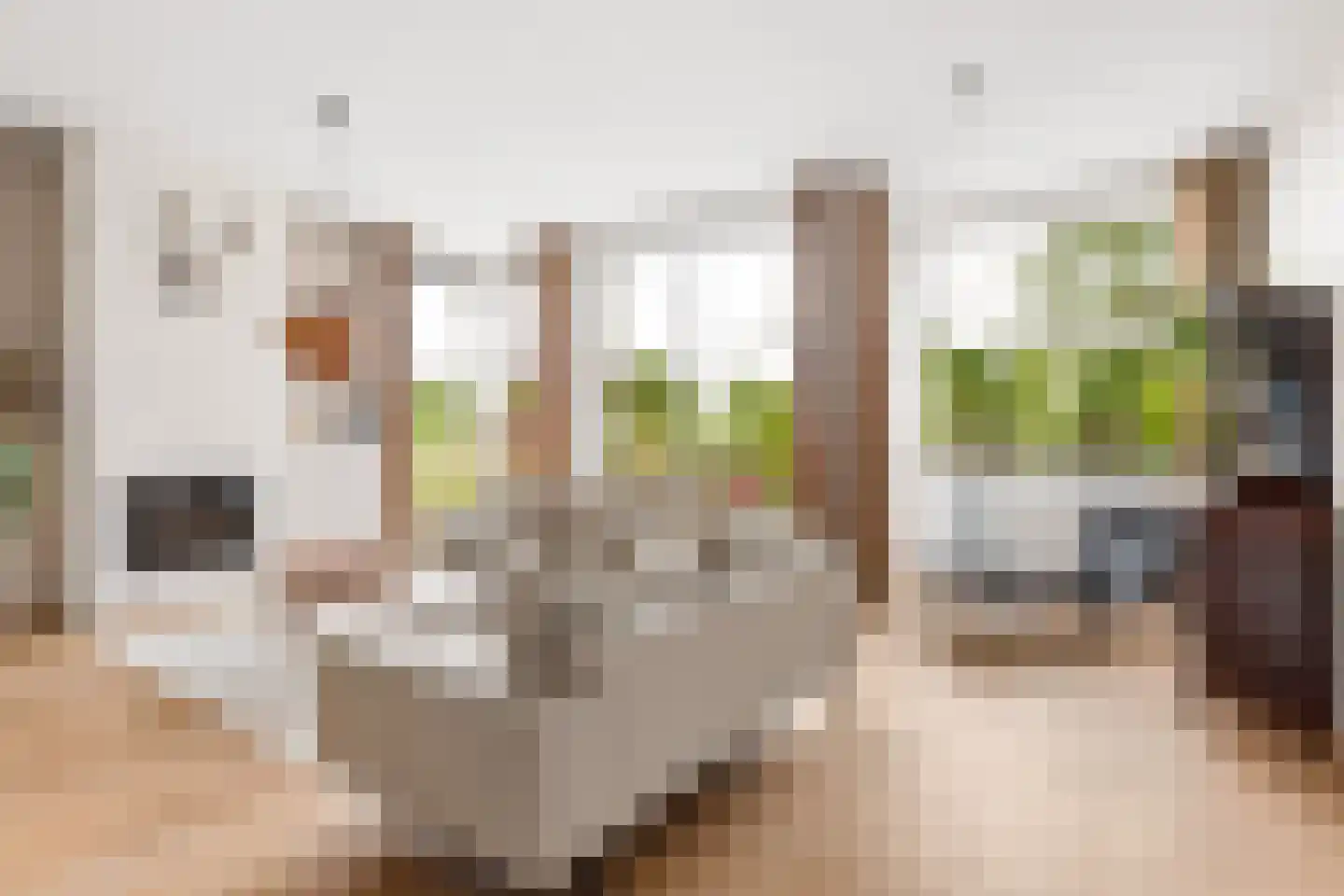 Kantmos 47 Houten thumbnail 4