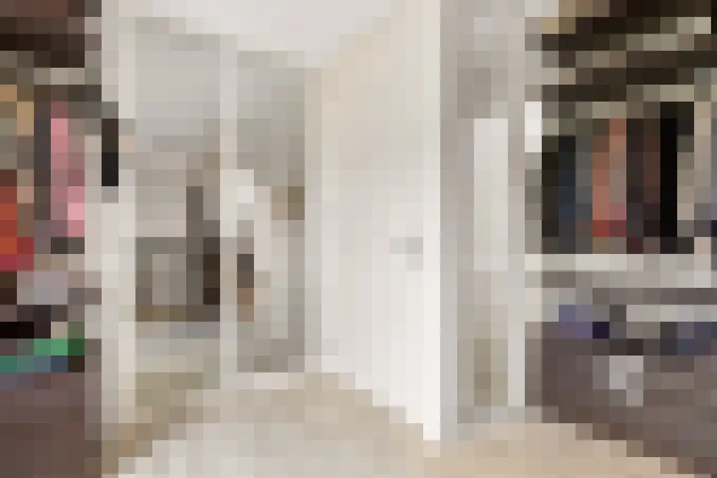 Kantmos 47 Houten thumbnail 40