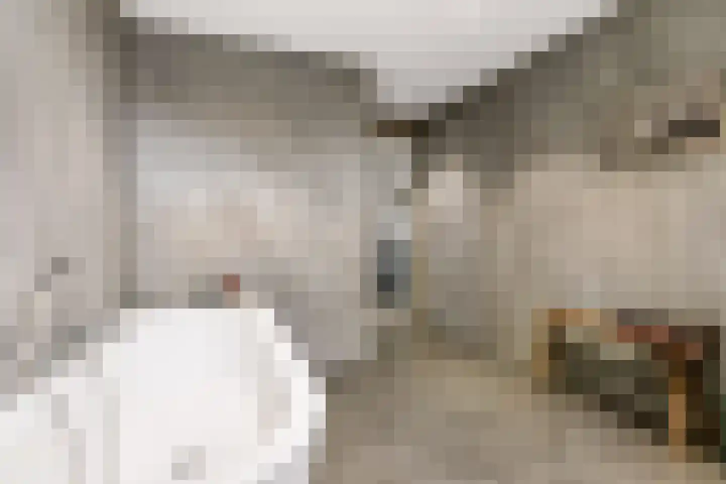 Kantmos 47 Houten thumbnail 45