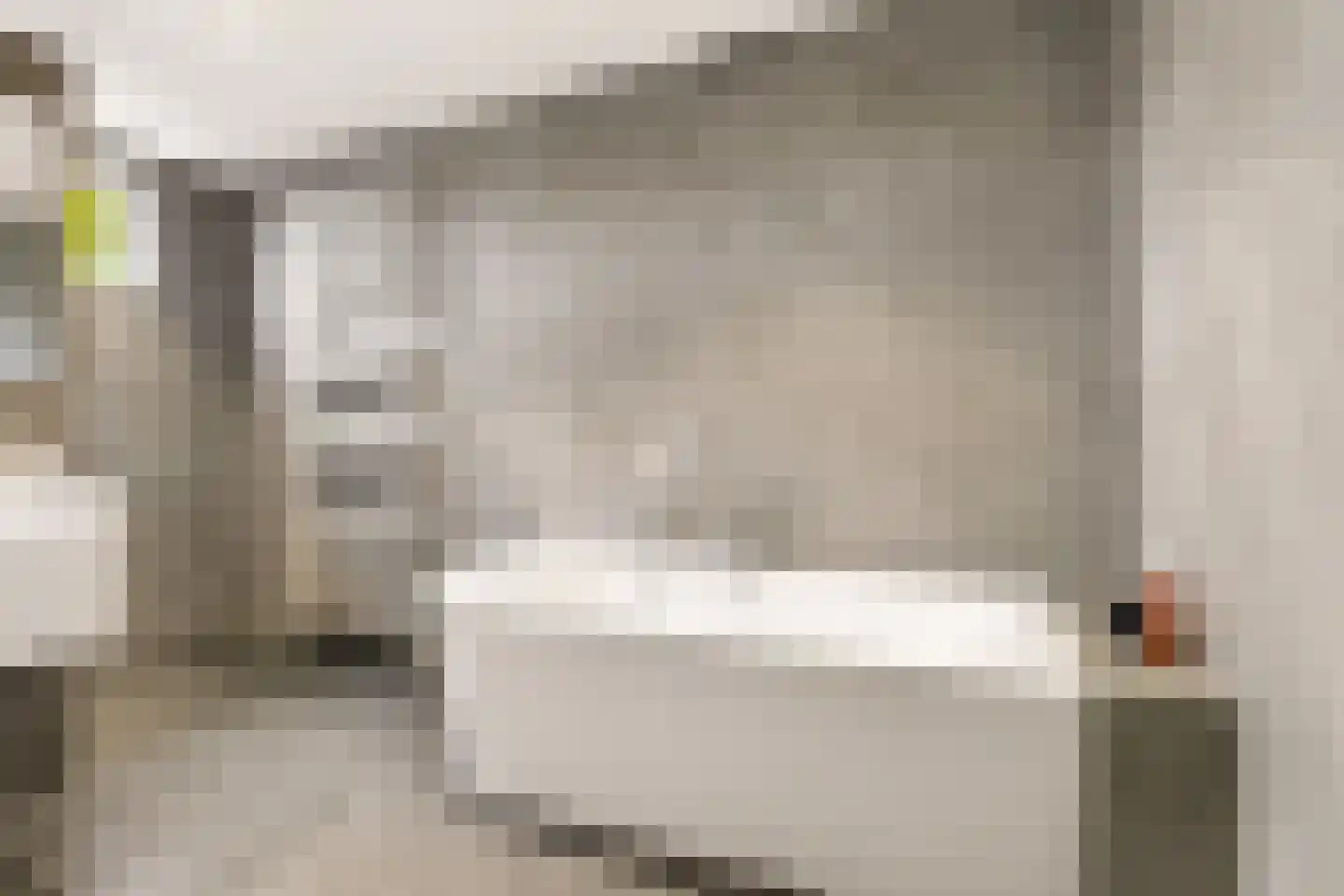 Kantmos 47 Houten thumbnail 46