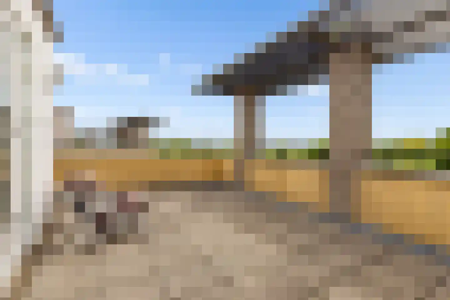 Kantmos 47 Houten thumbnail 58