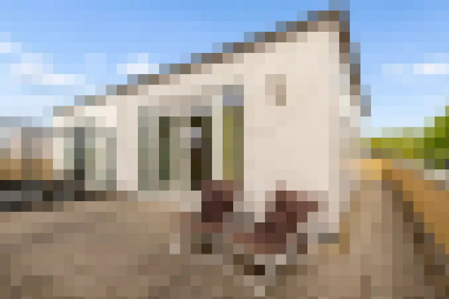 Kantmos 47 Houten thumbnail 59