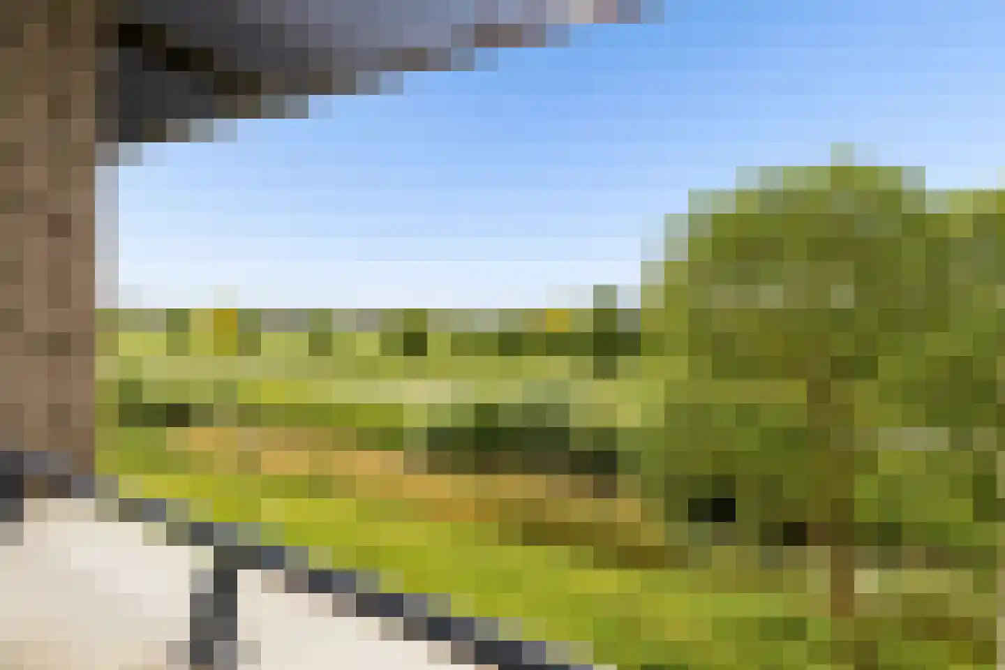 Kantmos 47 Houten thumbnail 60