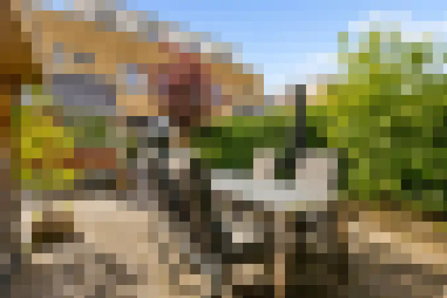 Kantmos 47 Houten thumbnail 63