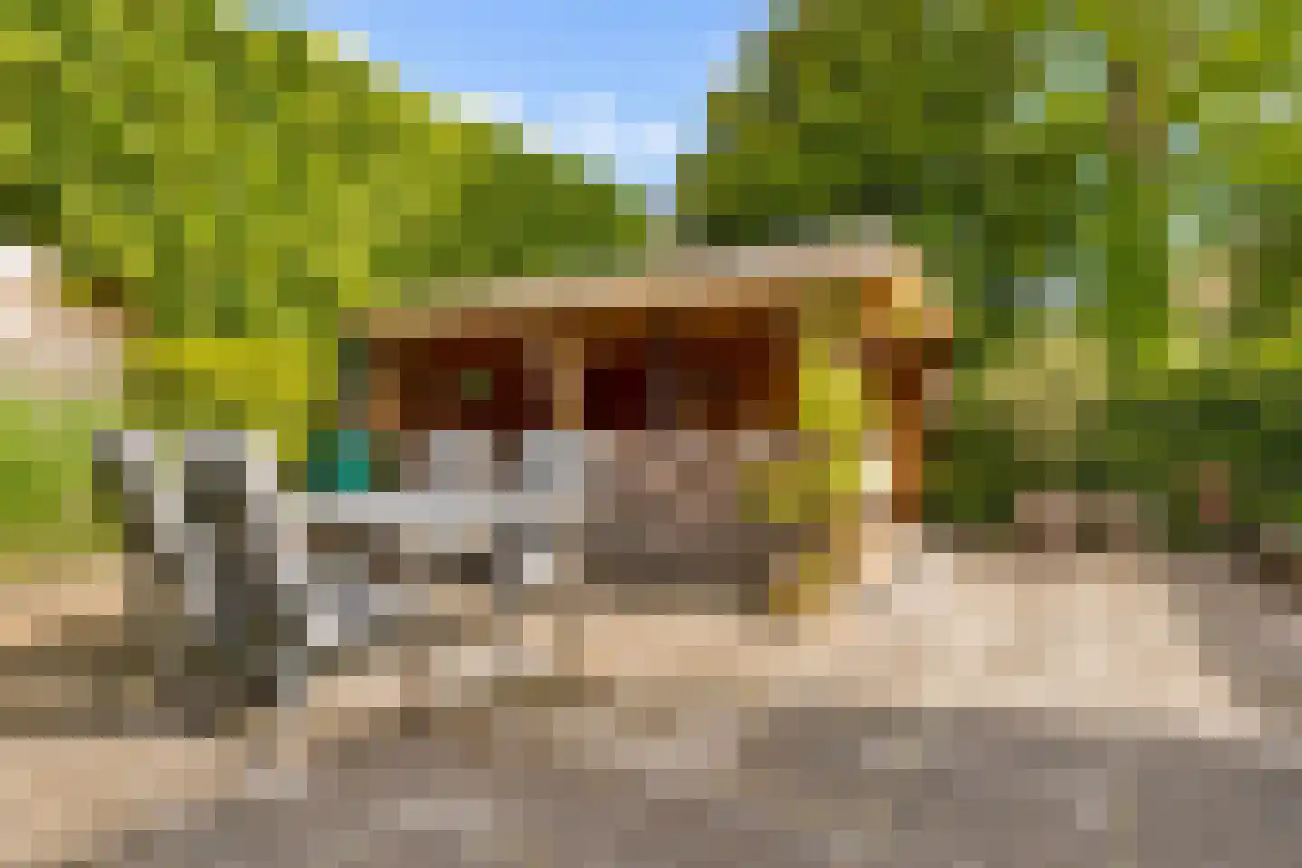 Kantmos 47 Houten thumbnail 64