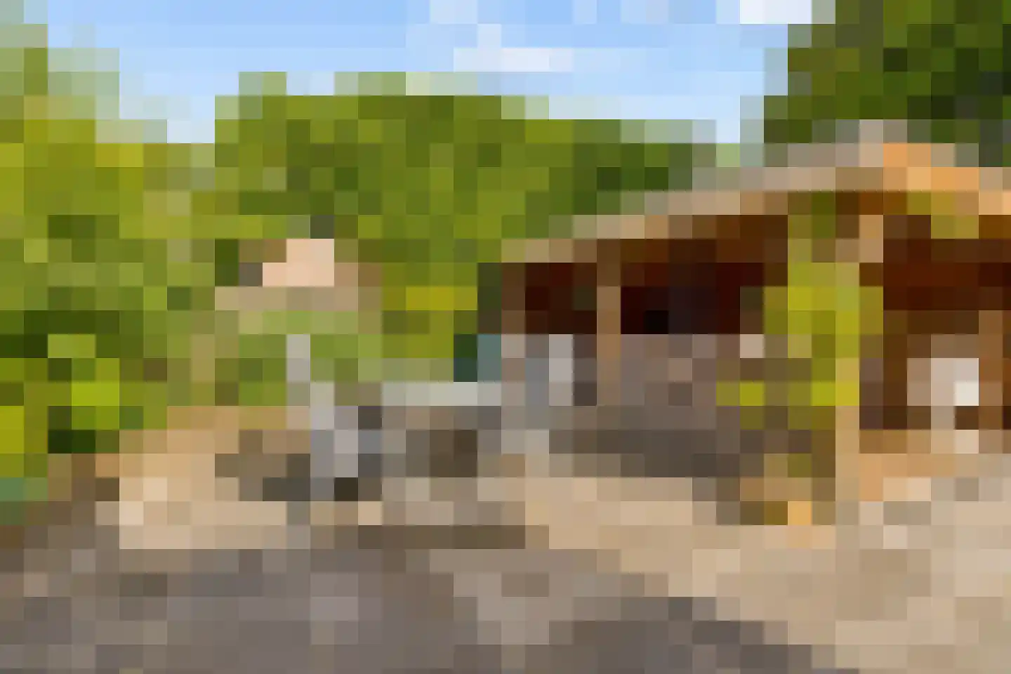 Kantmos 47 Houten thumbnail 65