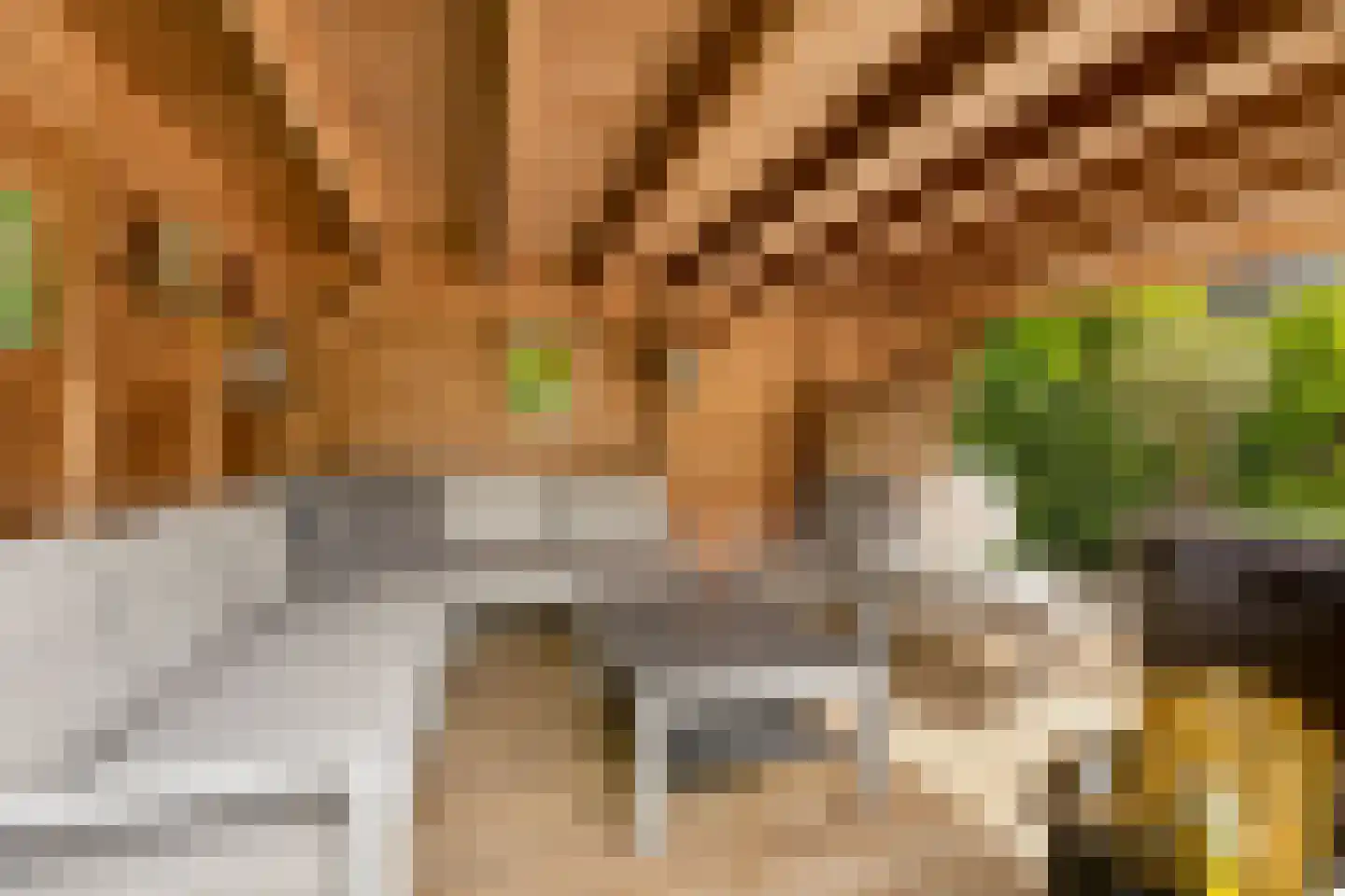 Kantmos 47 Houten thumbnail 66