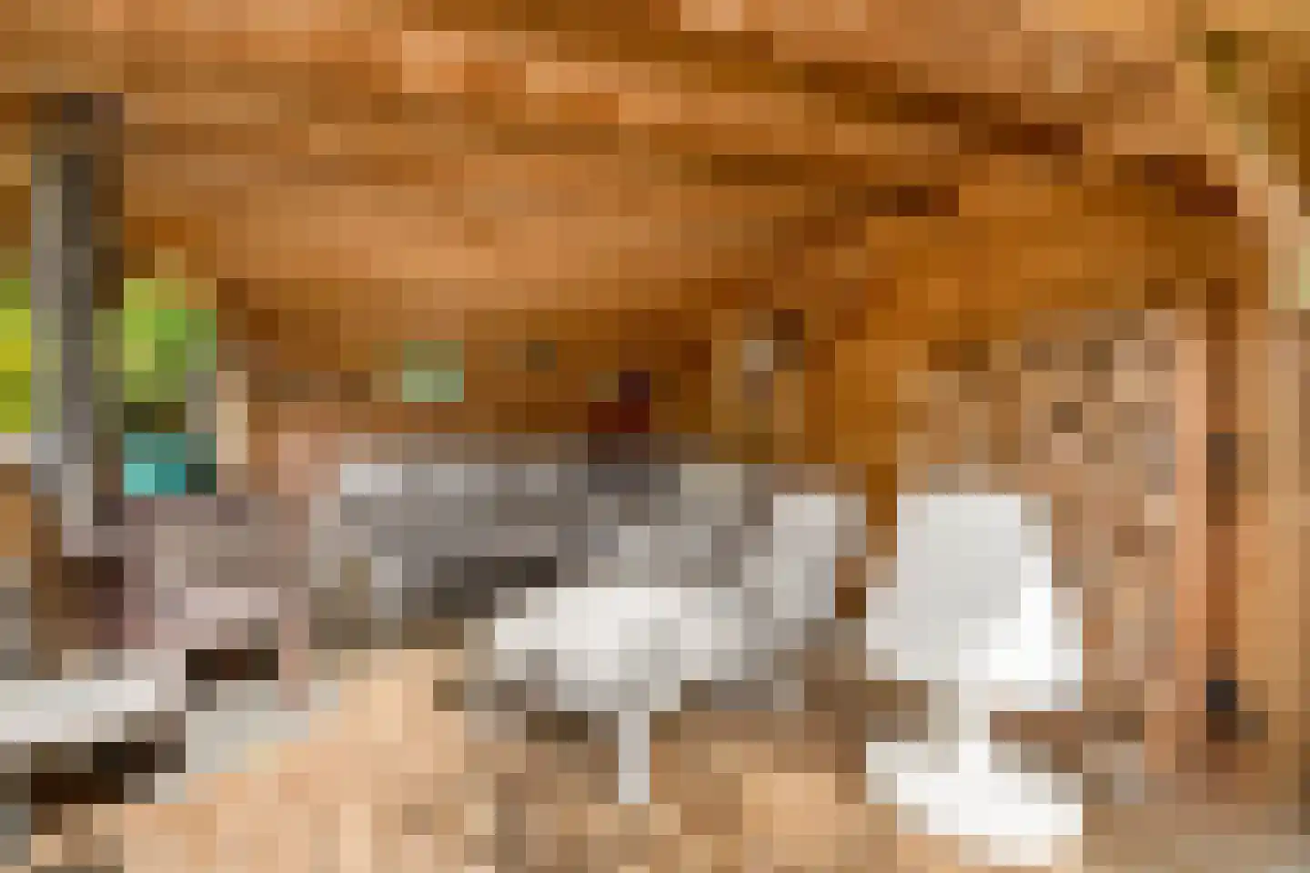 Kantmos 47 Houten thumbnail 67