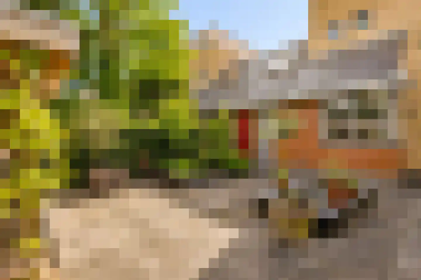 Kantmos 47 Houten thumbnail 68