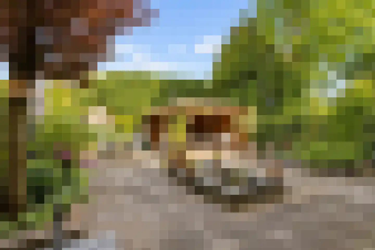 Kantmos 47 Houten thumbnail 69