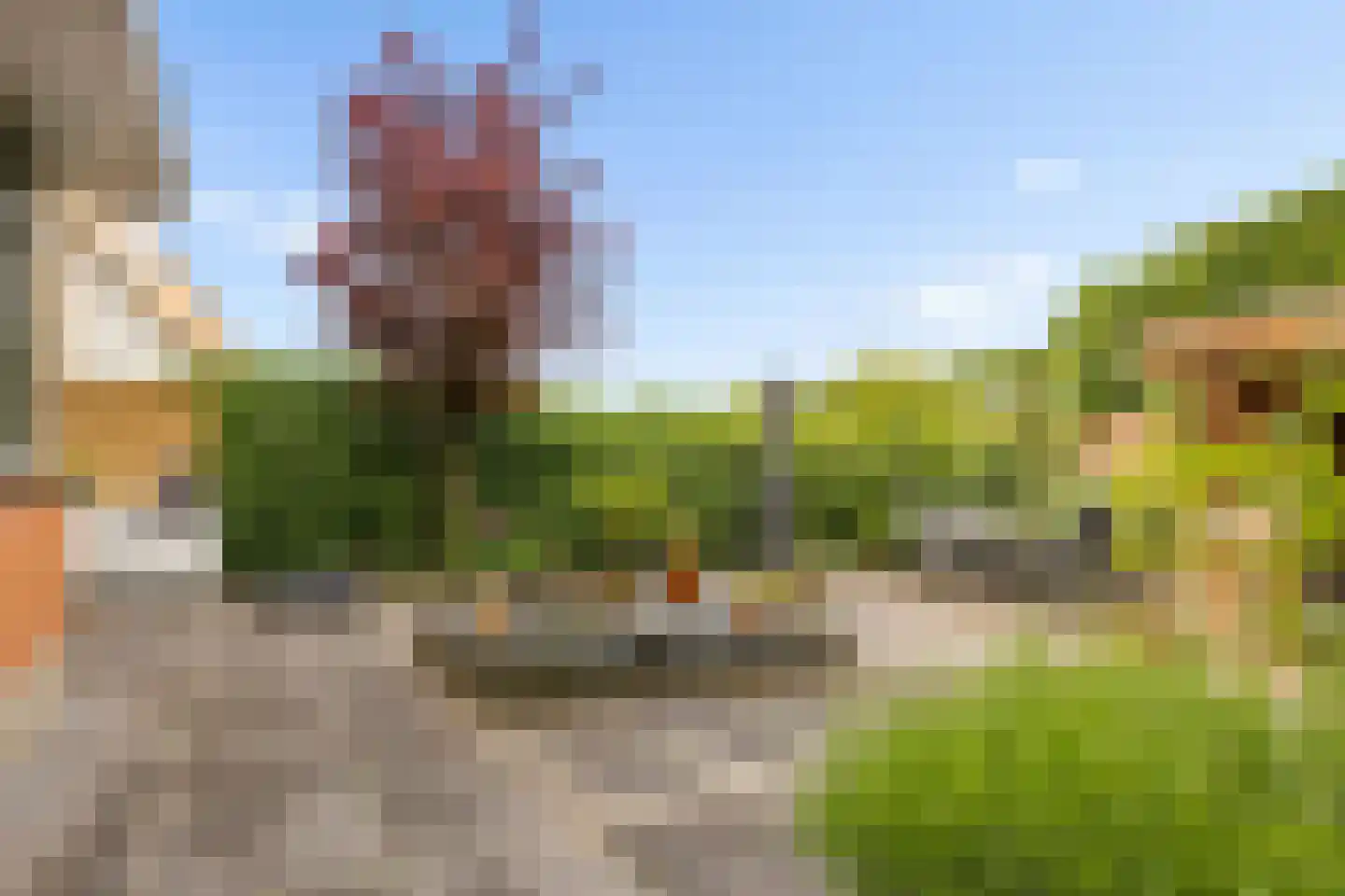 Kantmos 47 Houten thumbnail 70