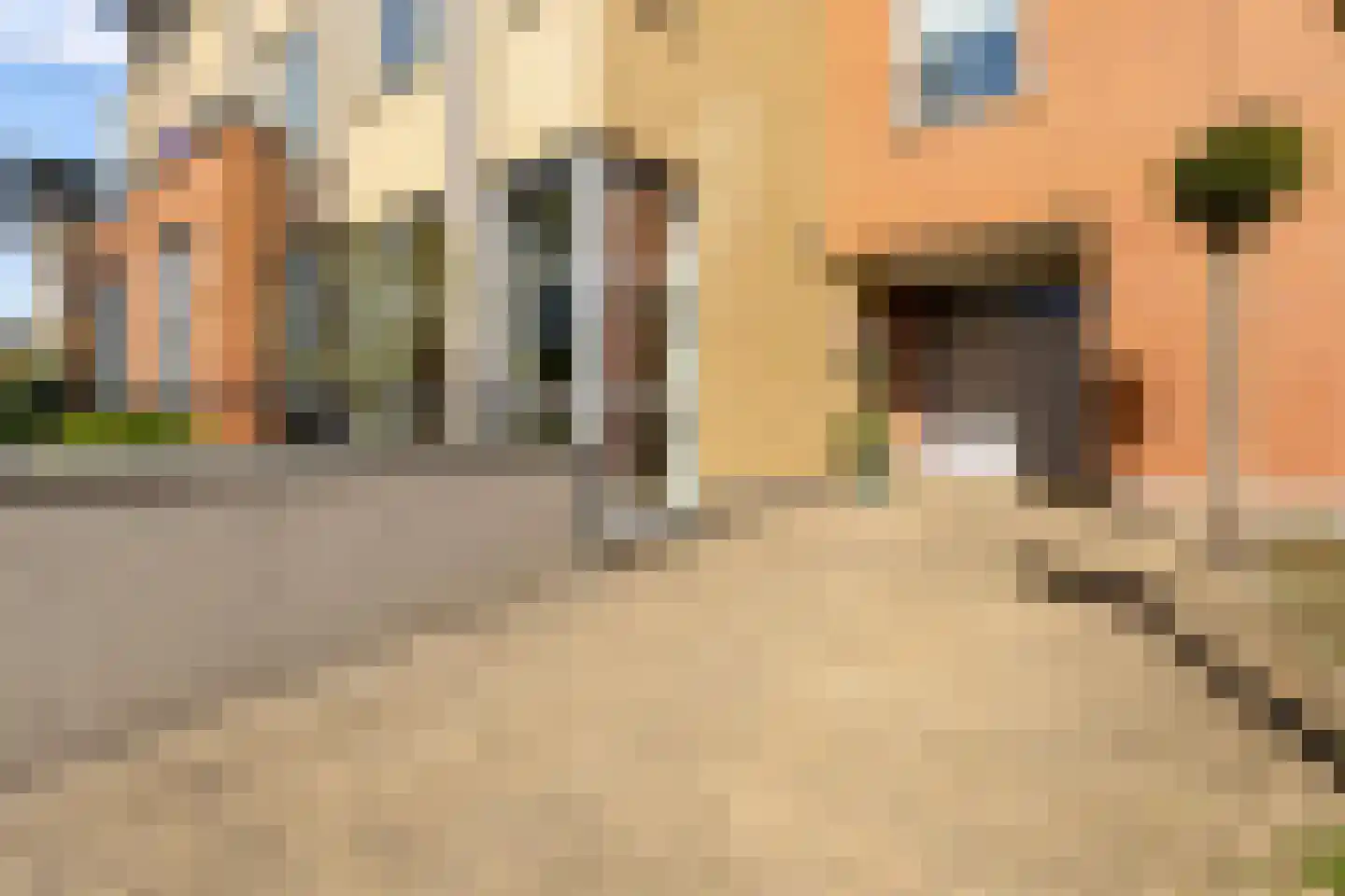 Kantmos 47 Houten thumbnail 72