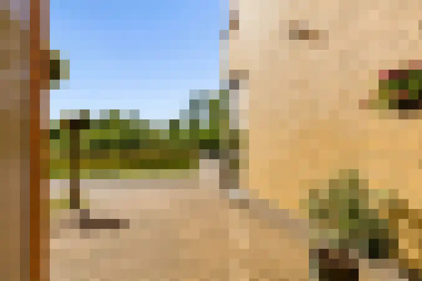 Kantmos 47 Houten thumbnail 73