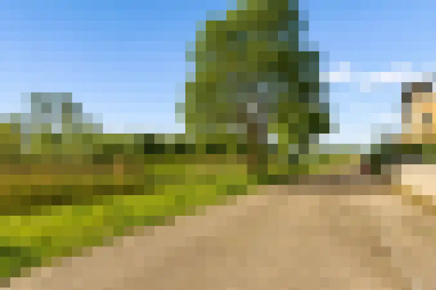 Kantmos 47 Houten thumbnail 77