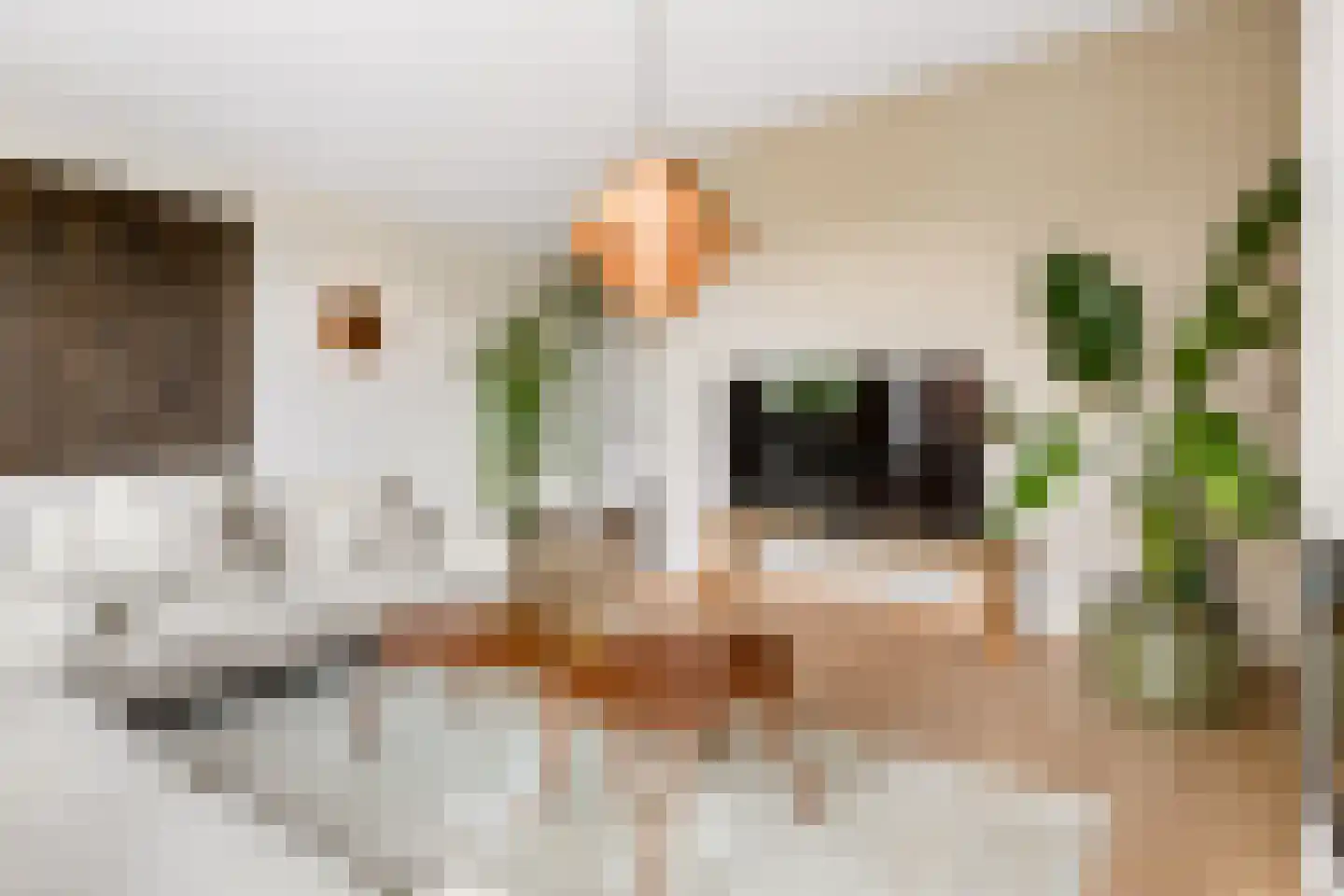 Kantmos 47 Houten thumbnail 8