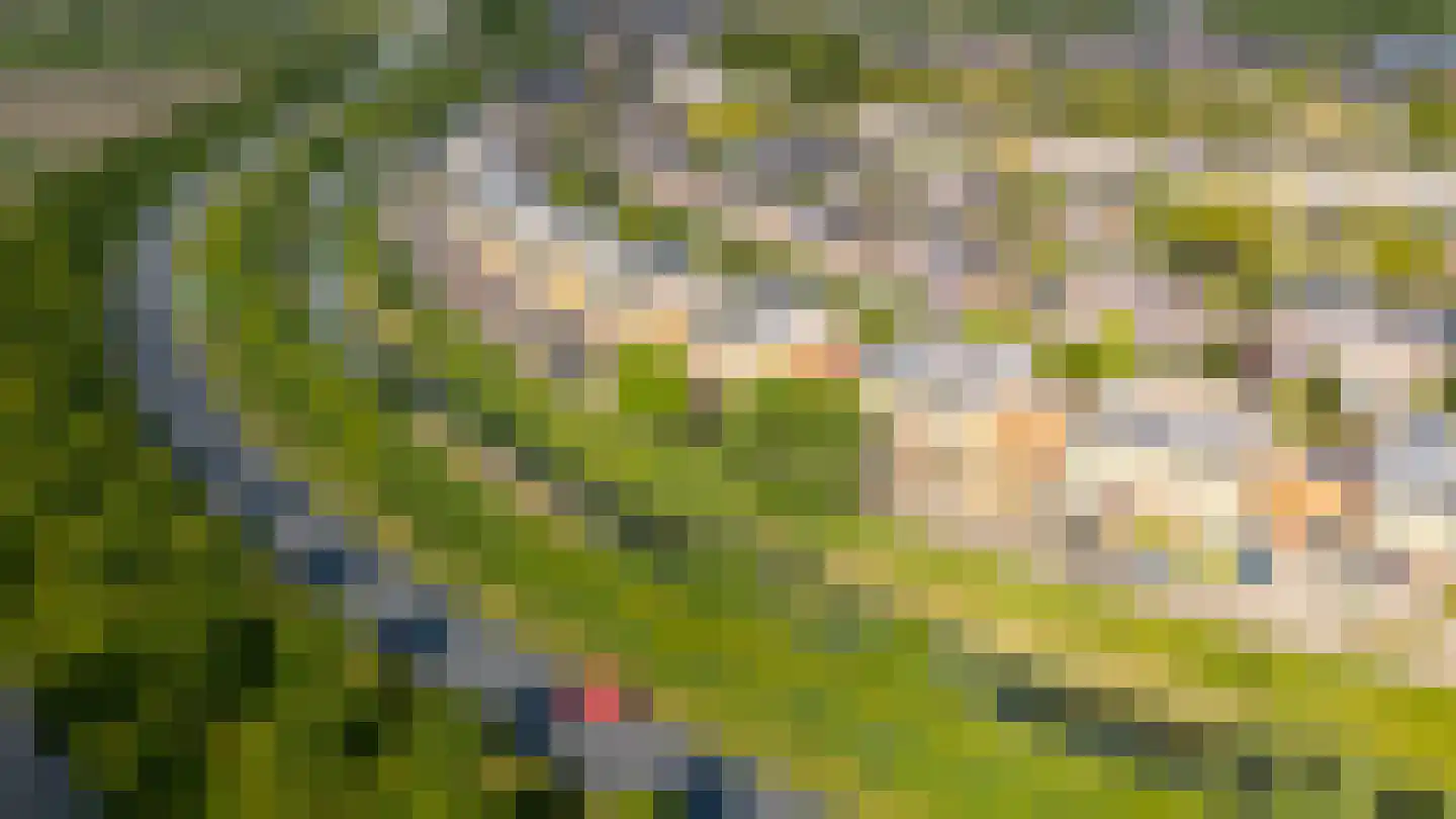 Kantmos 47 Houten thumbnail 80