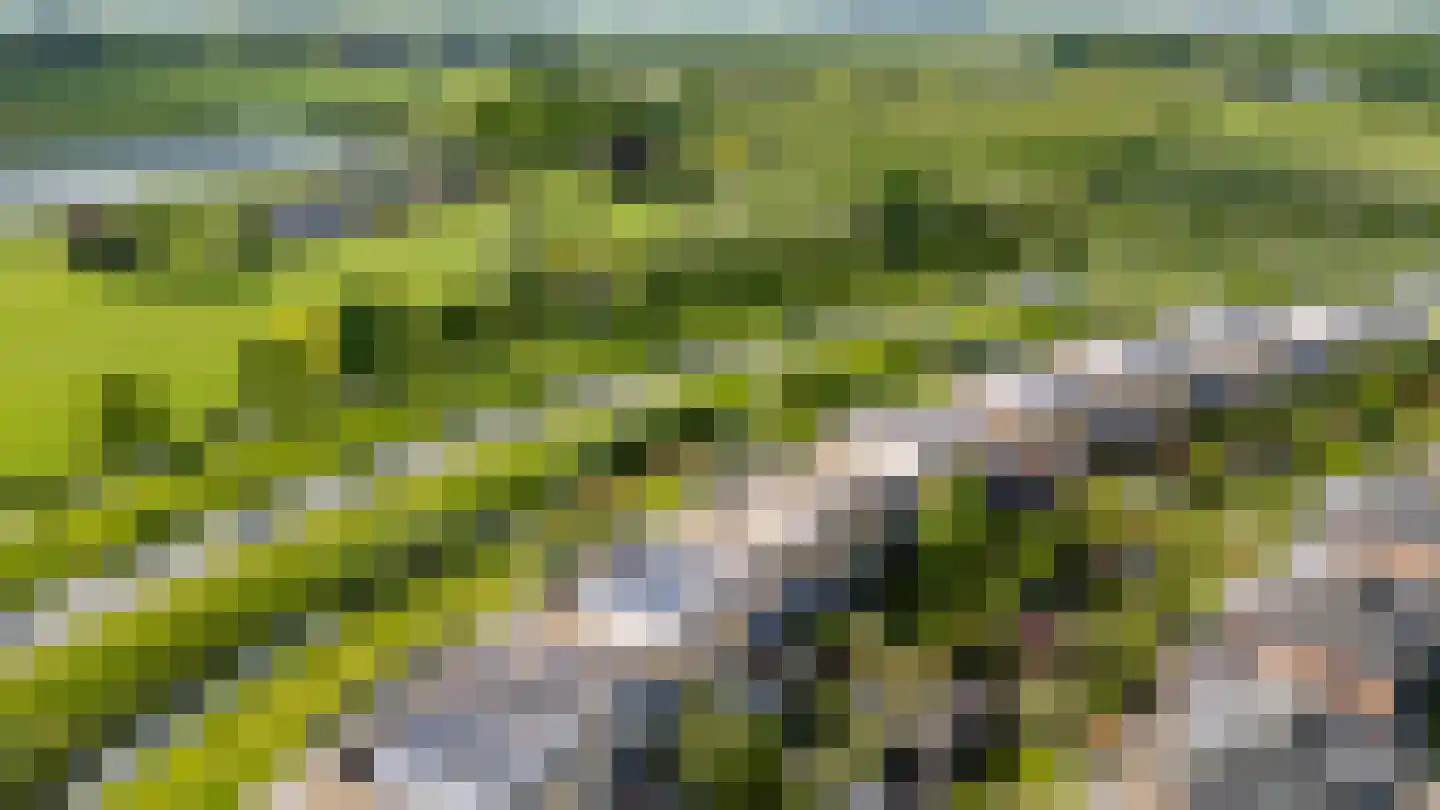 Kantmos 47 Houten thumbnail 81
