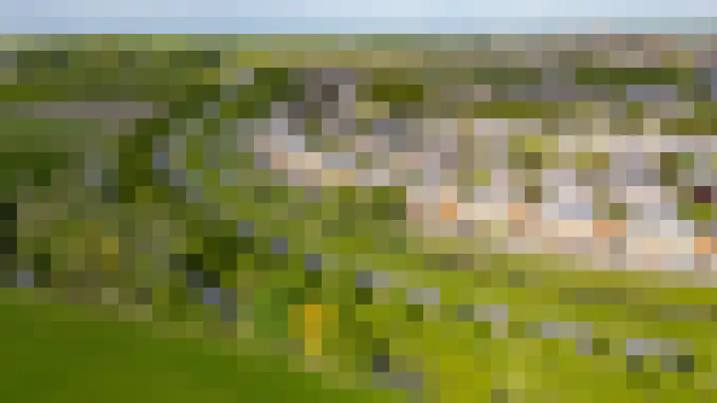 Kantmos 47 Houten thumbnail 82
