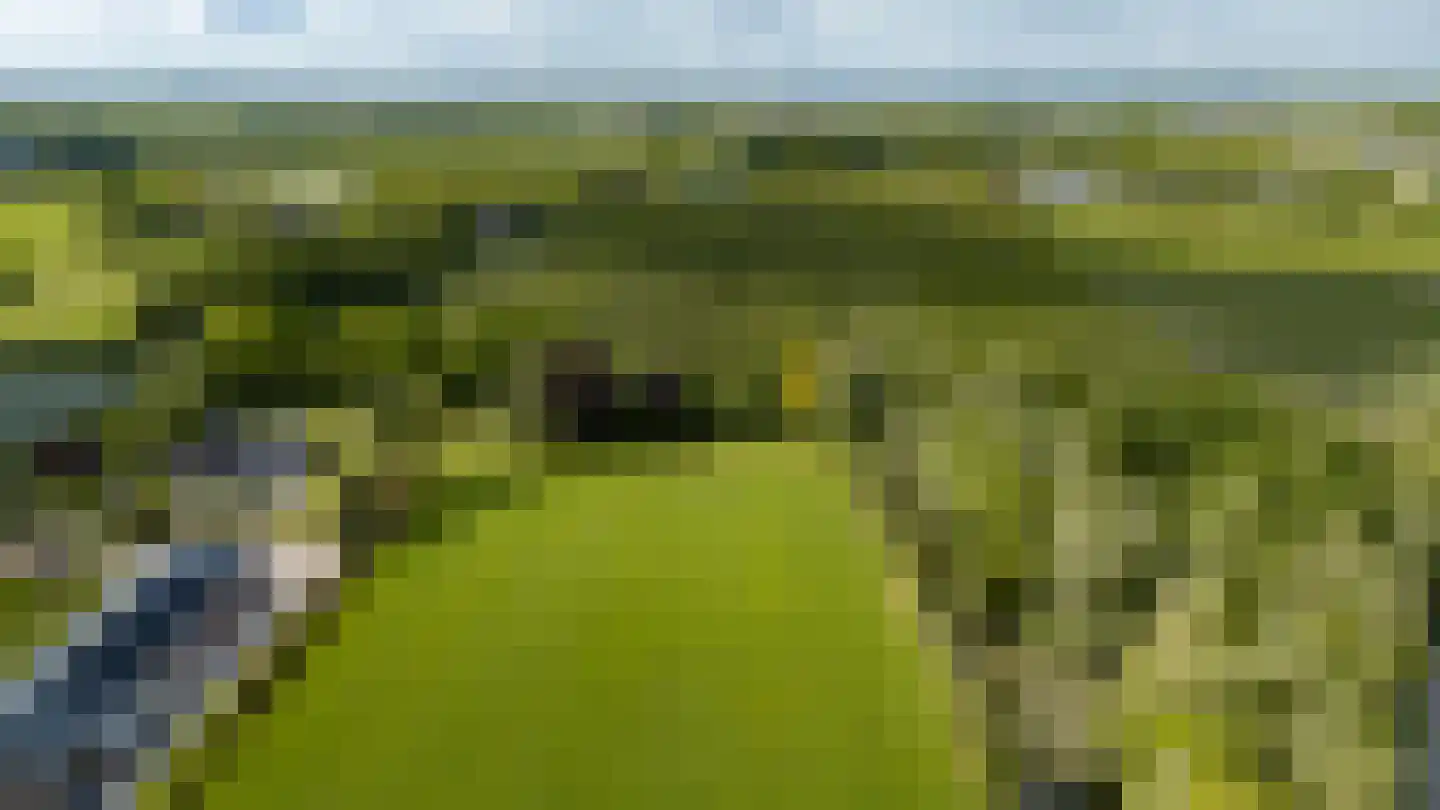Kantmos 47 Houten thumbnail 83