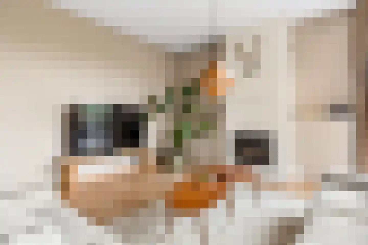Kantmos 47 Houten thumbnail 9
