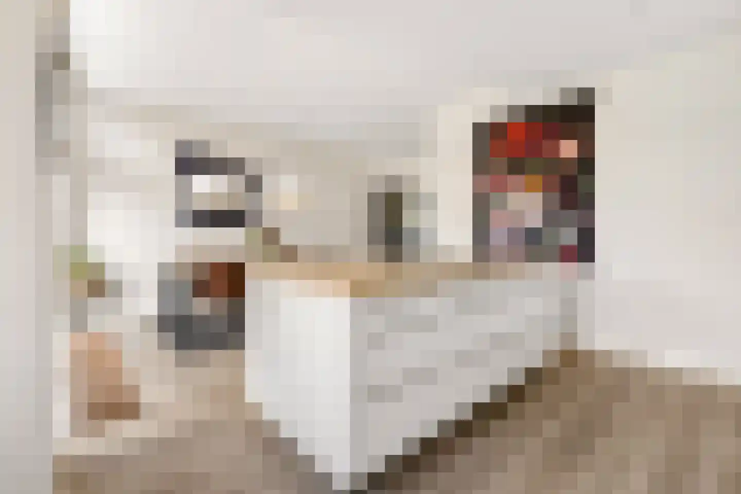 Kantmos 49 Houten thumbnail 16