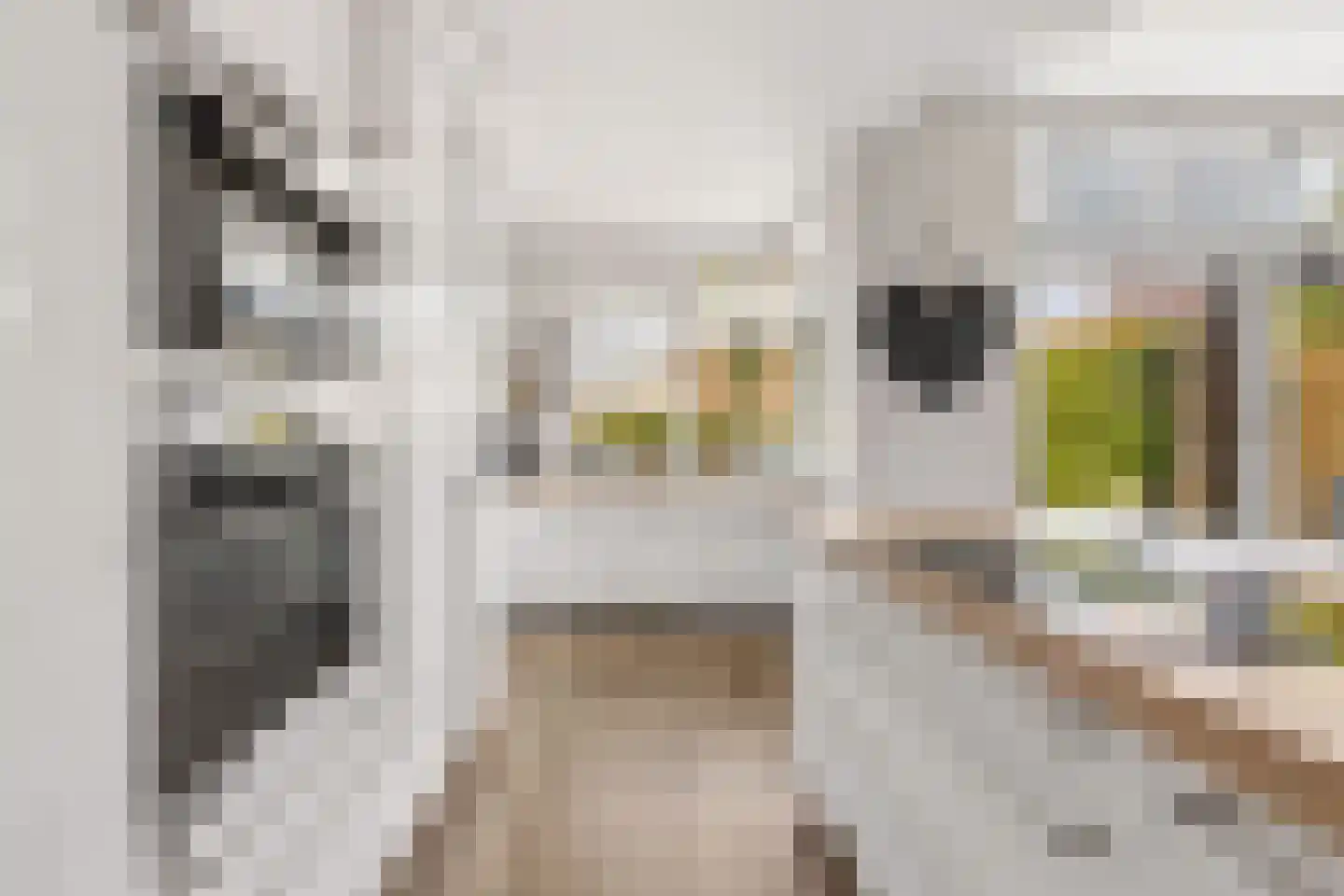 Kantmos 49 Houten thumbnail 18