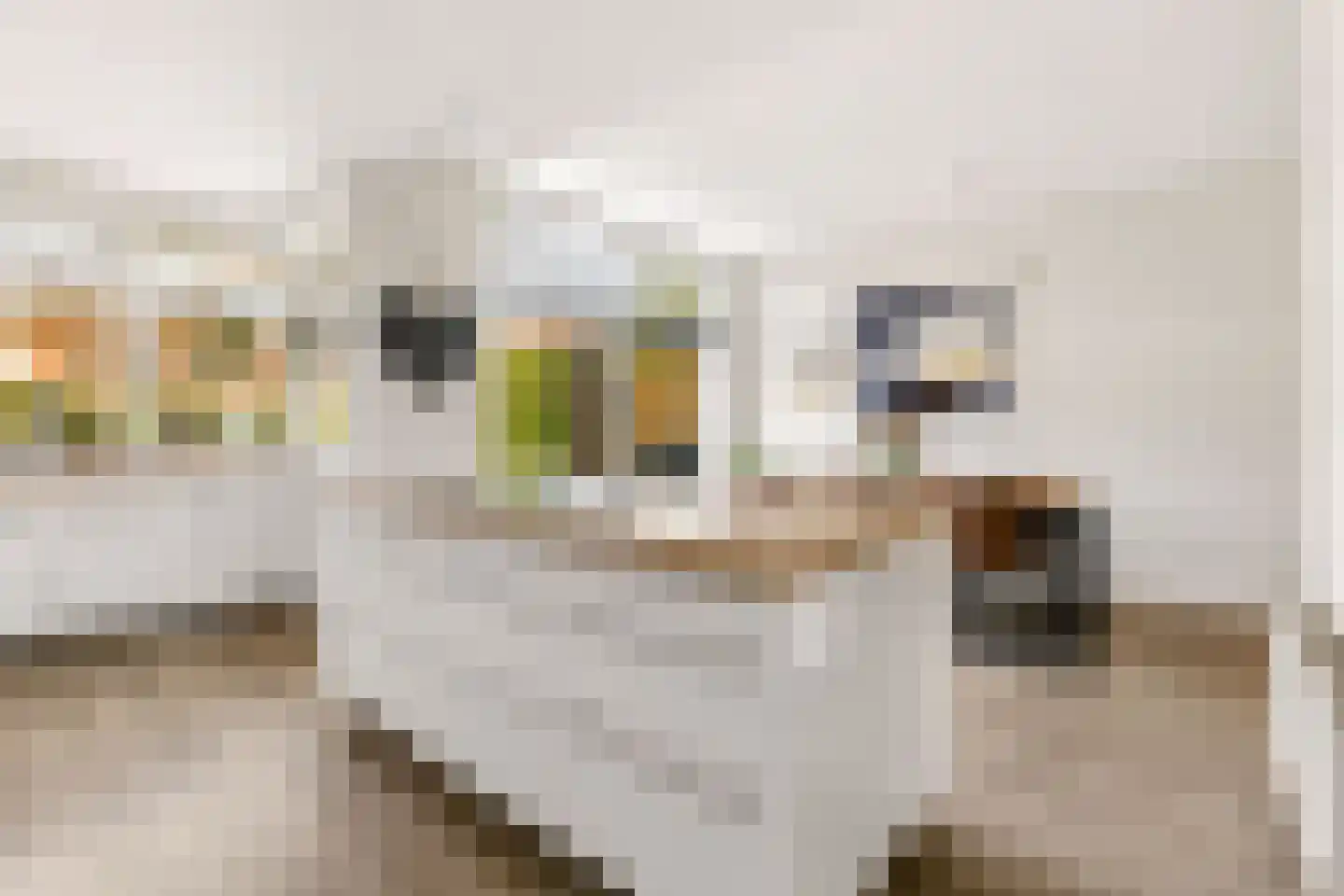 Kantmos 49 Houten thumbnail 22