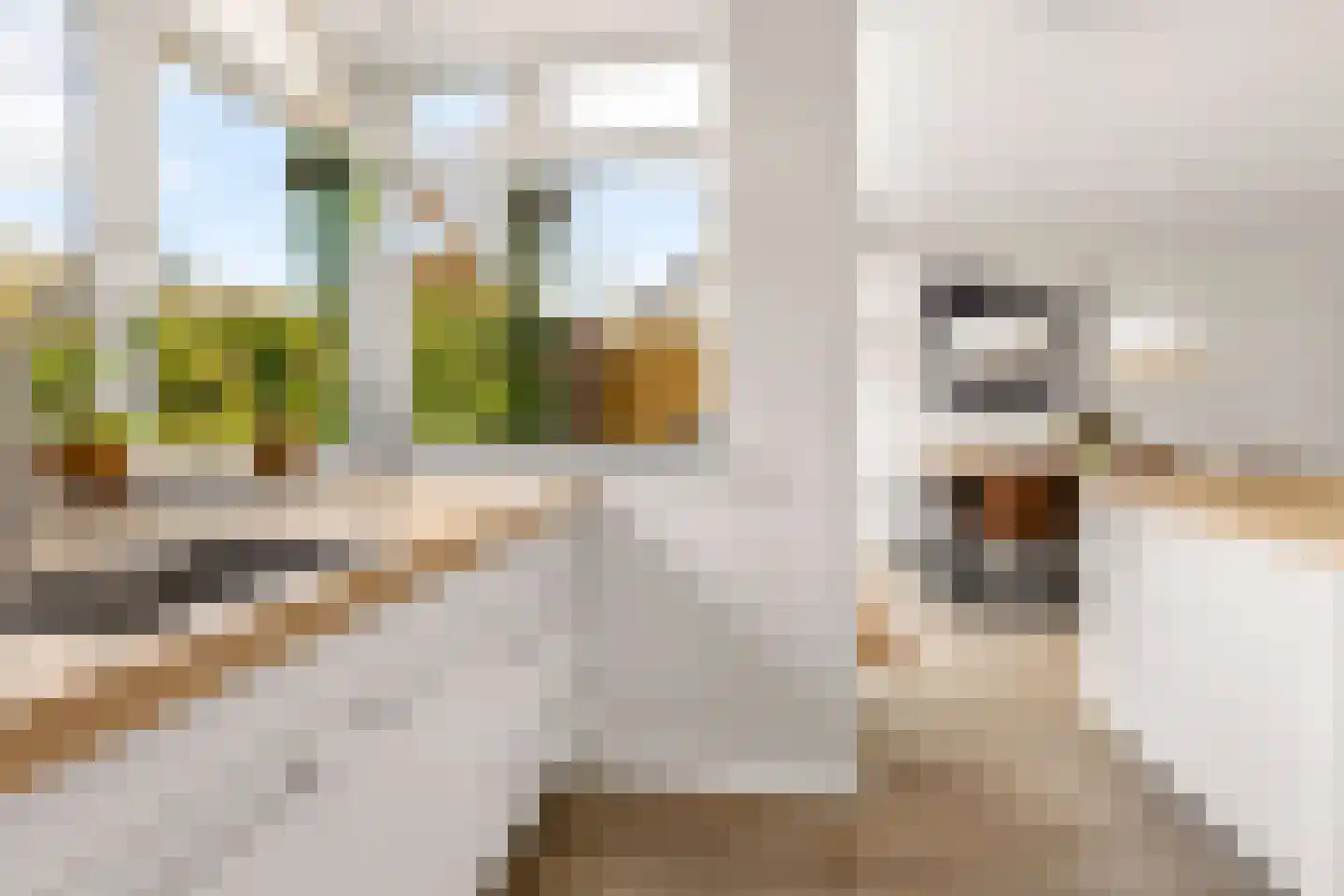 Kantmos 49 Houten thumbnail 23