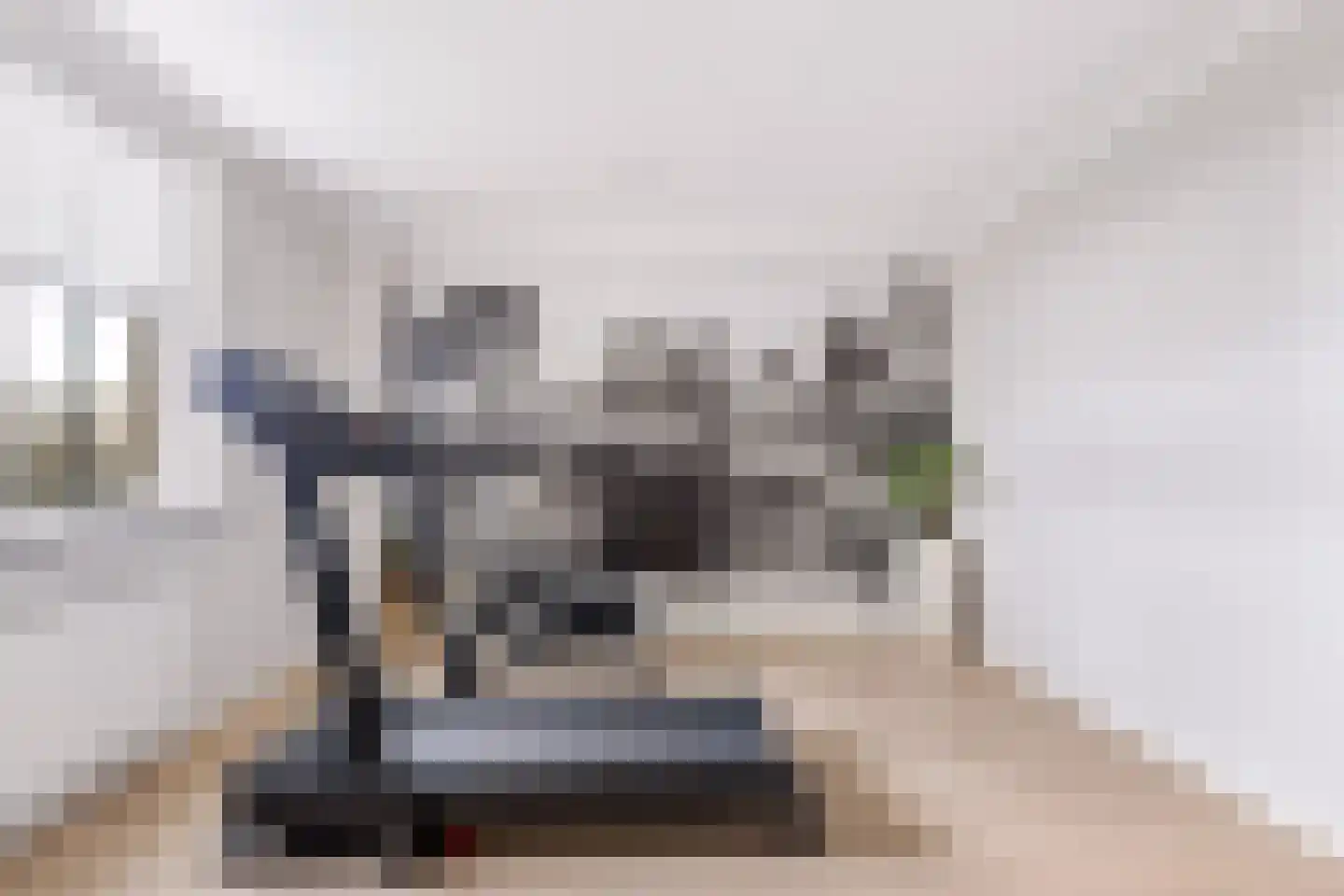 Kantmos 49 Houten thumbnail 25