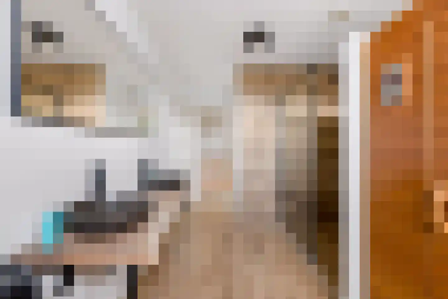 Kantmos 49 Houten thumbnail 30