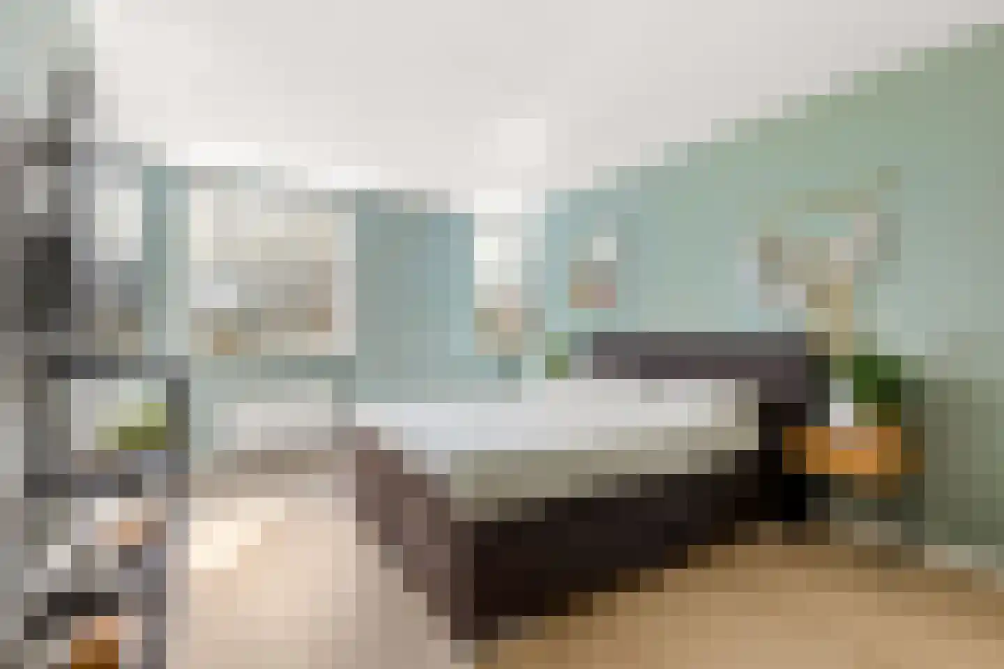 Kantmos 49 Houten thumbnail 39