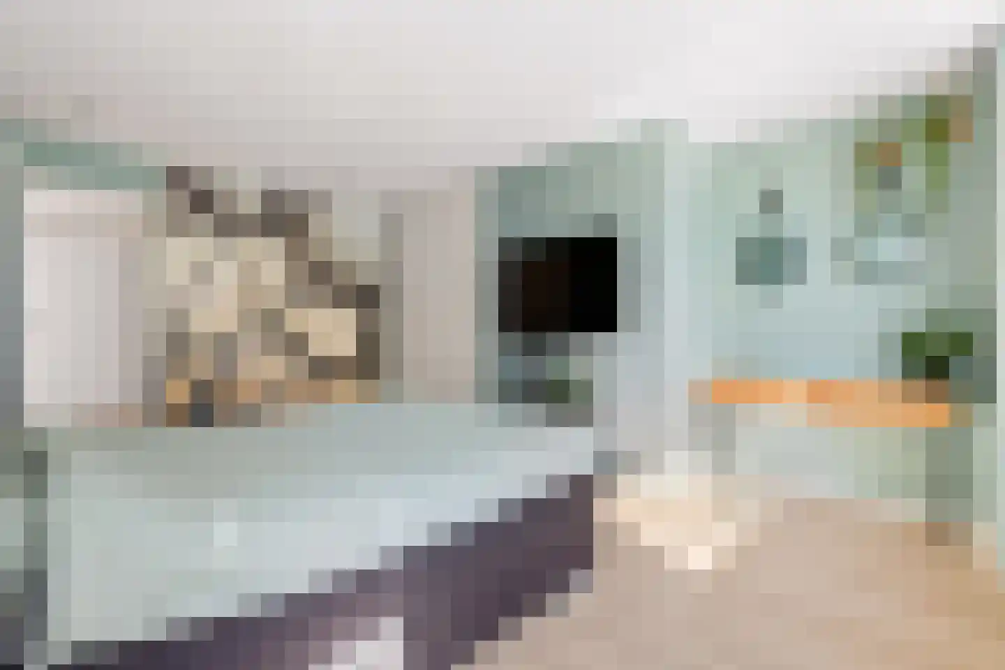 Kantmos 49 Houten thumbnail 40