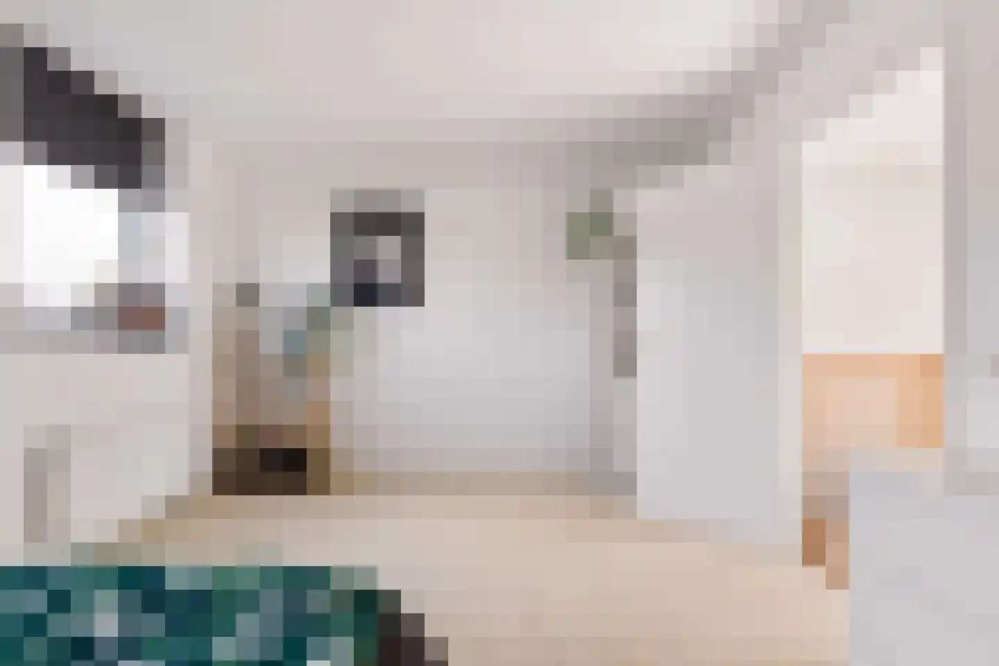 Kantmos 49 Houten thumbnail 44