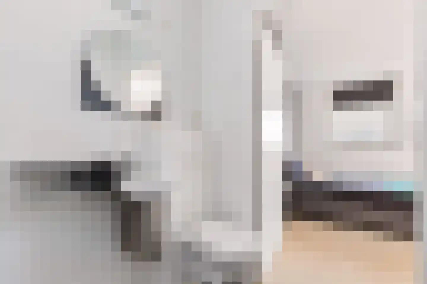 Kantmos 49 Houten thumbnail 47