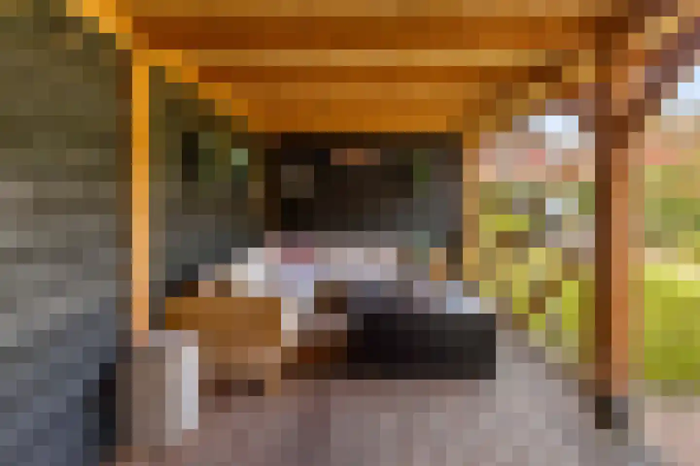 Kantmos 49 Houten thumbnail 5