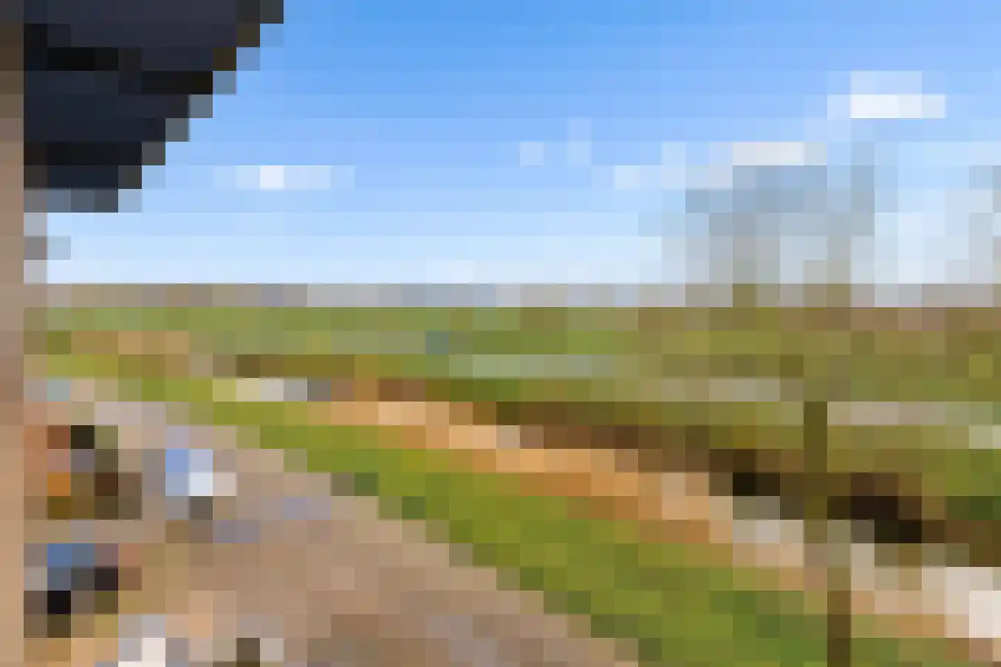 Kantmos 49 Houten thumbnail 53