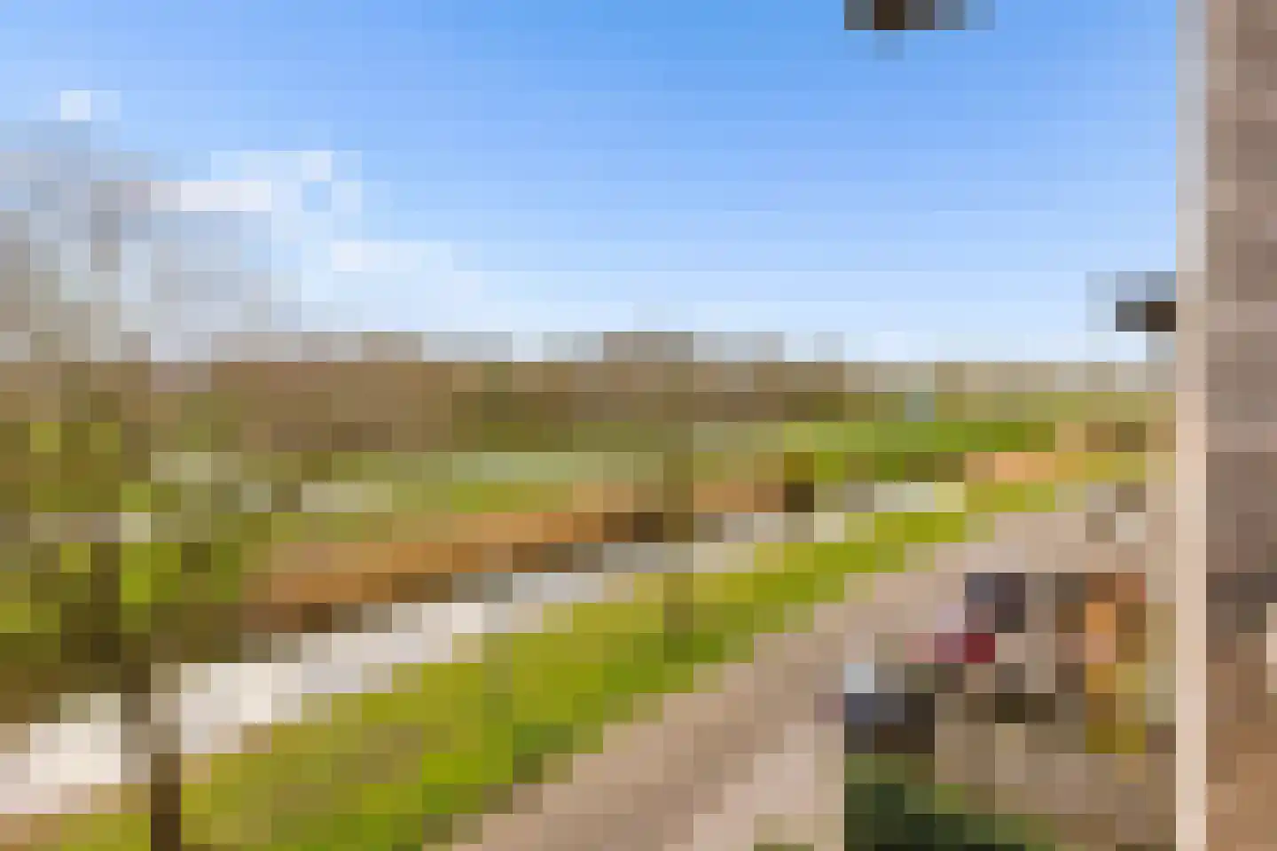 Kantmos 49 Houten thumbnail 55