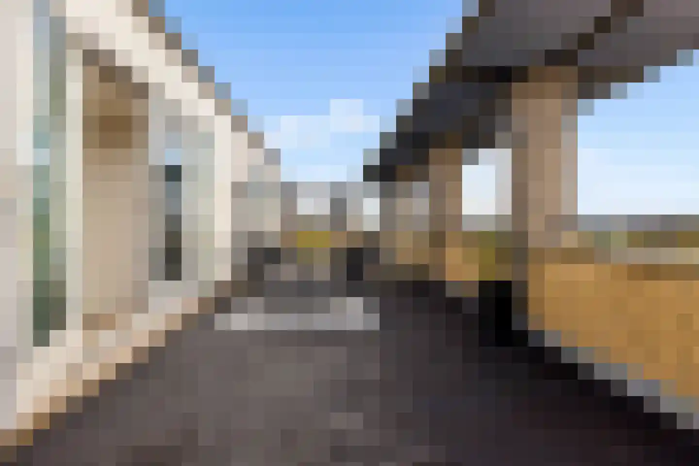 Kantmos 49 Houten thumbnail 56