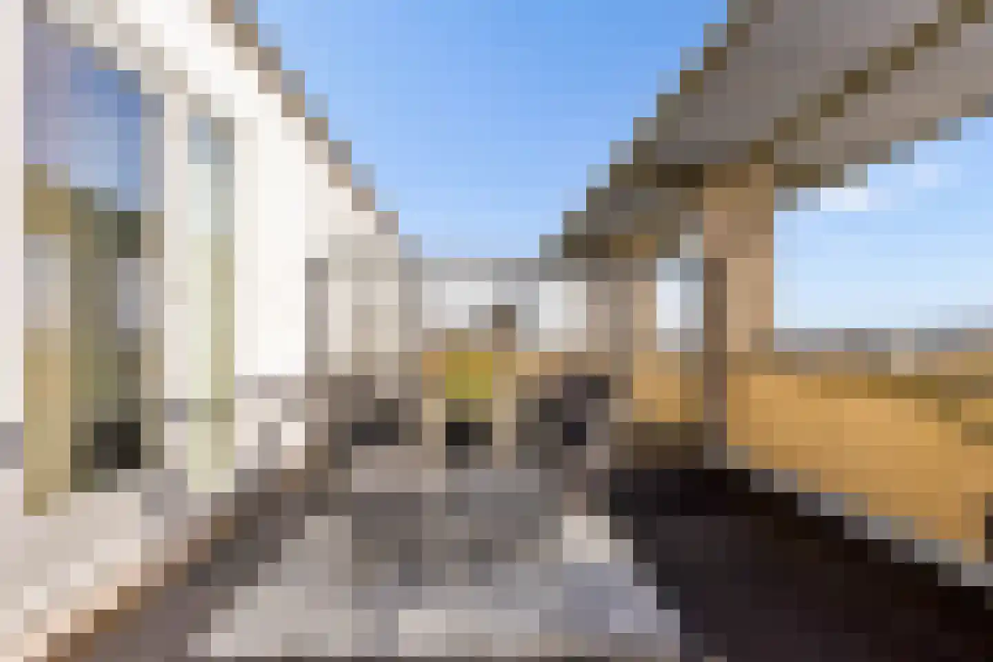 Kantmos 49 Houten thumbnail 57