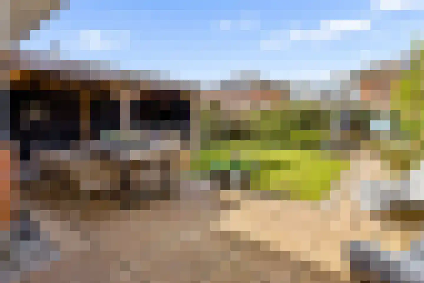 Kantmos 49 Houten thumbnail 59