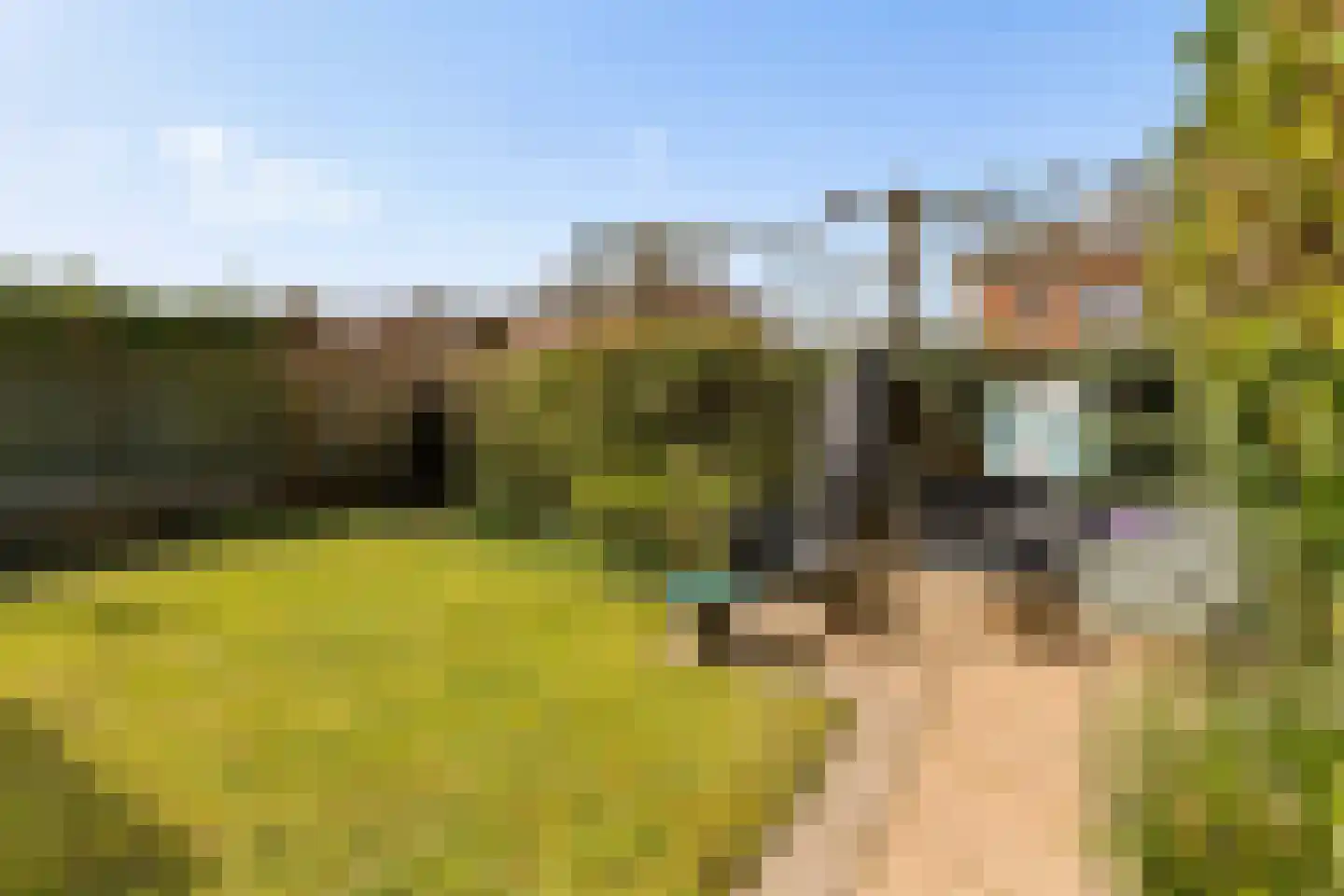 Kantmos 49 Houten thumbnail 63