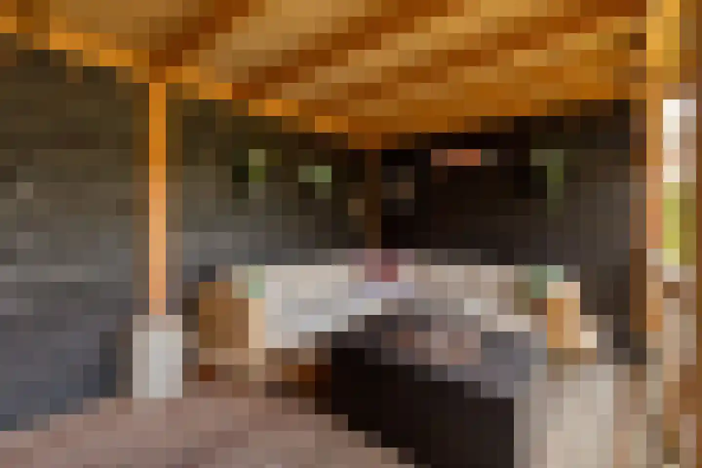 Kantmos 49 Houten thumbnail 66