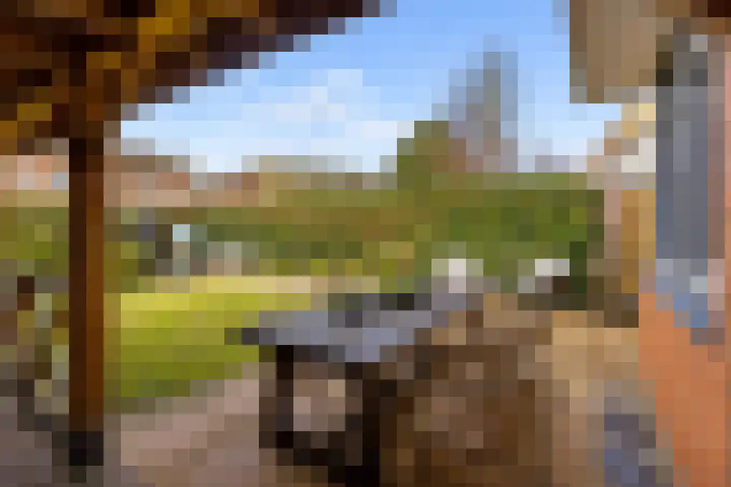 Kantmos 49 Houten thumbnail 67