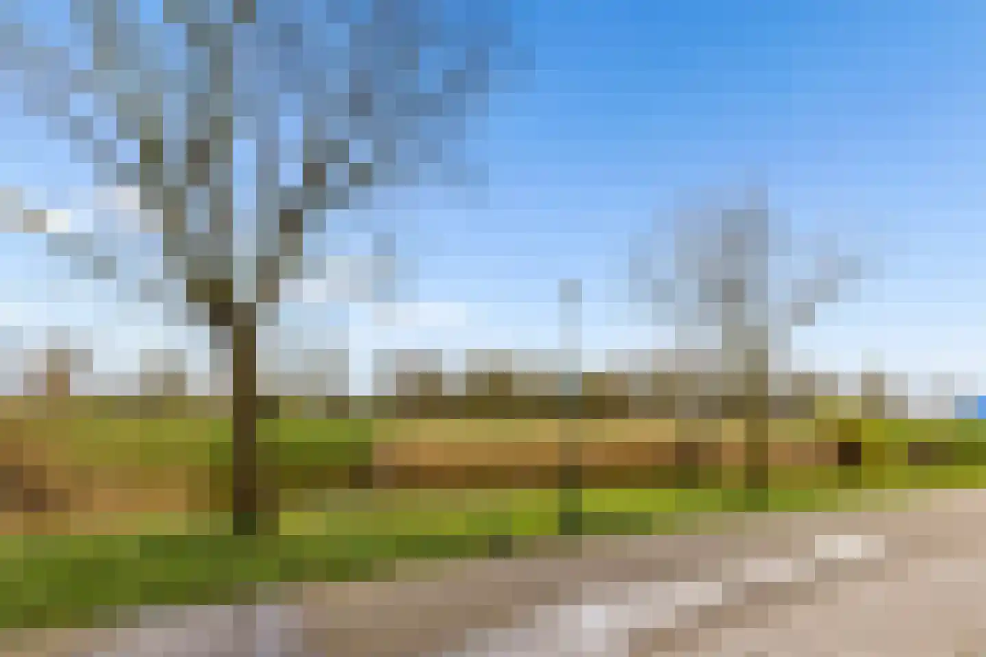 Kantmos 49 Houten thumbnail 71