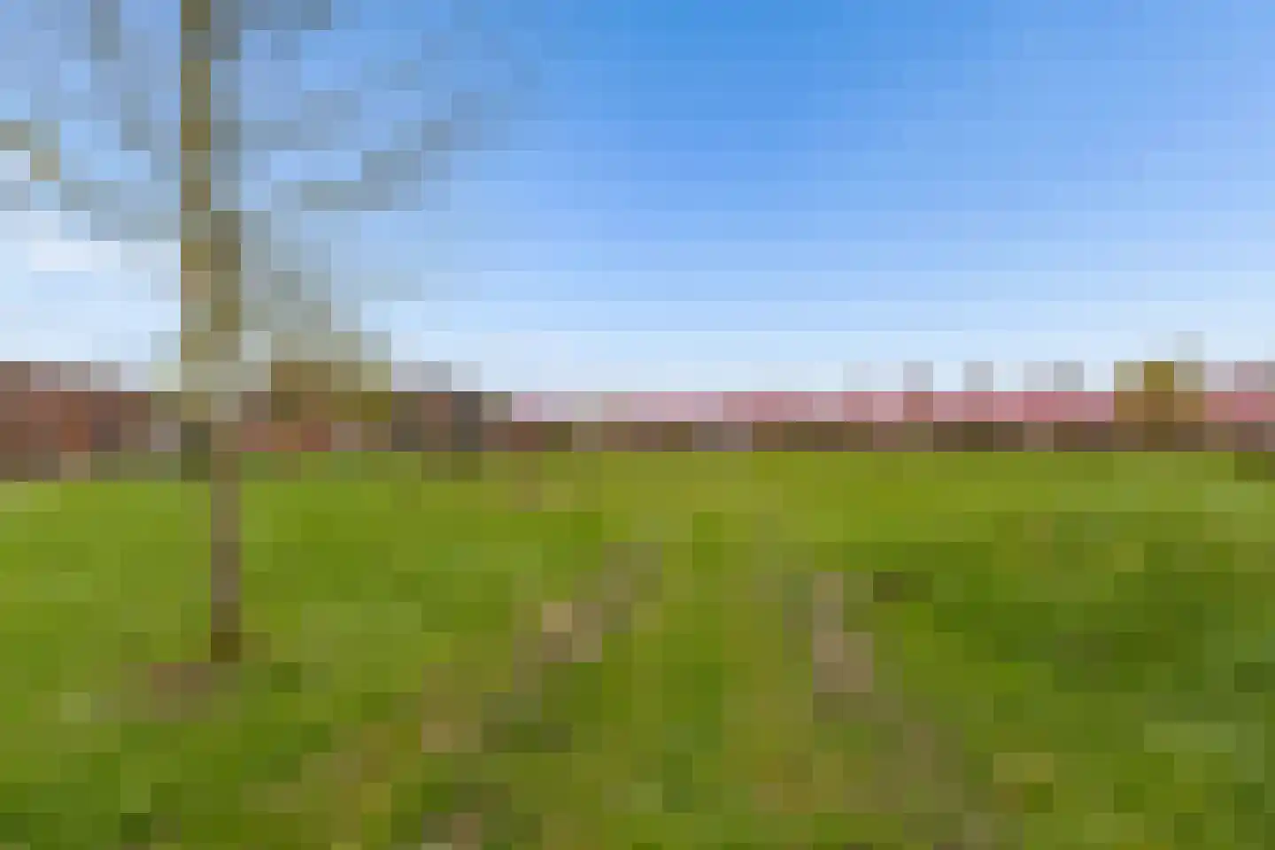 Kantmos 49 Houten thumbnail 72