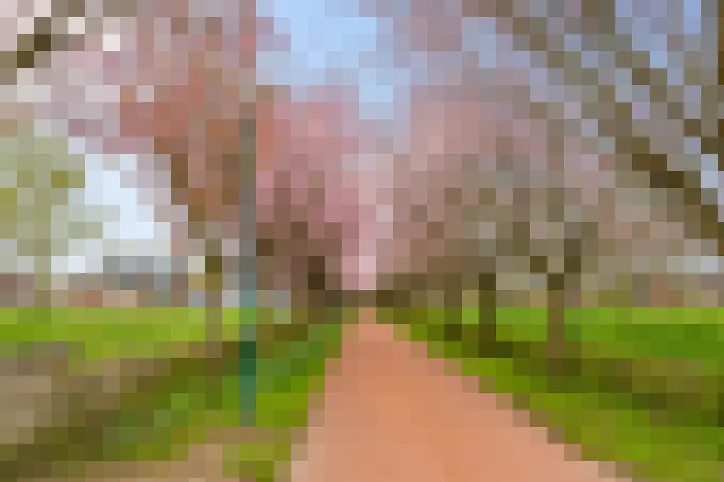 Kantmos 49 Houten thumbnail 73