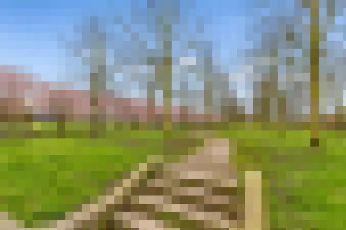 Kantmos 49 Houten thumbnail 74